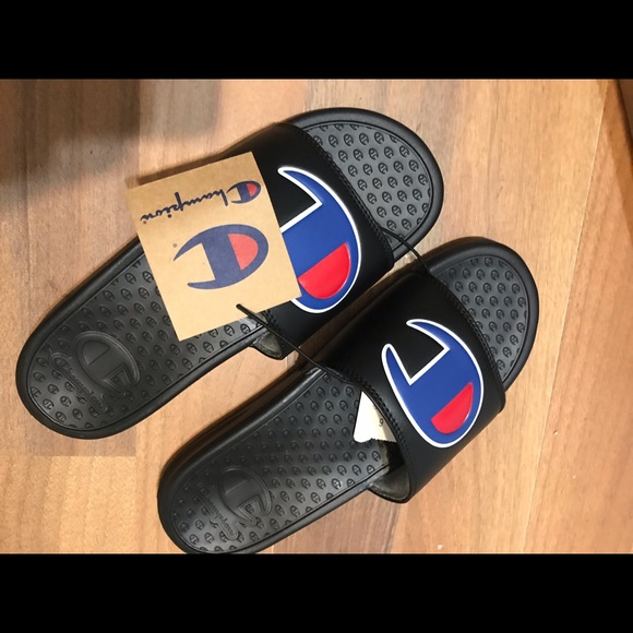 Champion Slides - Picture 2 of 4